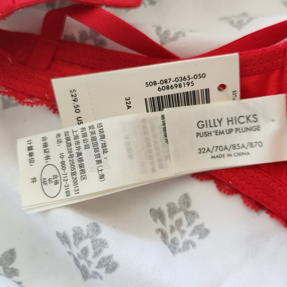 Gilly Hicks Push Em Up Plunge Red Lace Trim Padded Pushup Bra - Picture 4 of 4